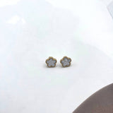 Orecchini Quadrifoglio Colorato